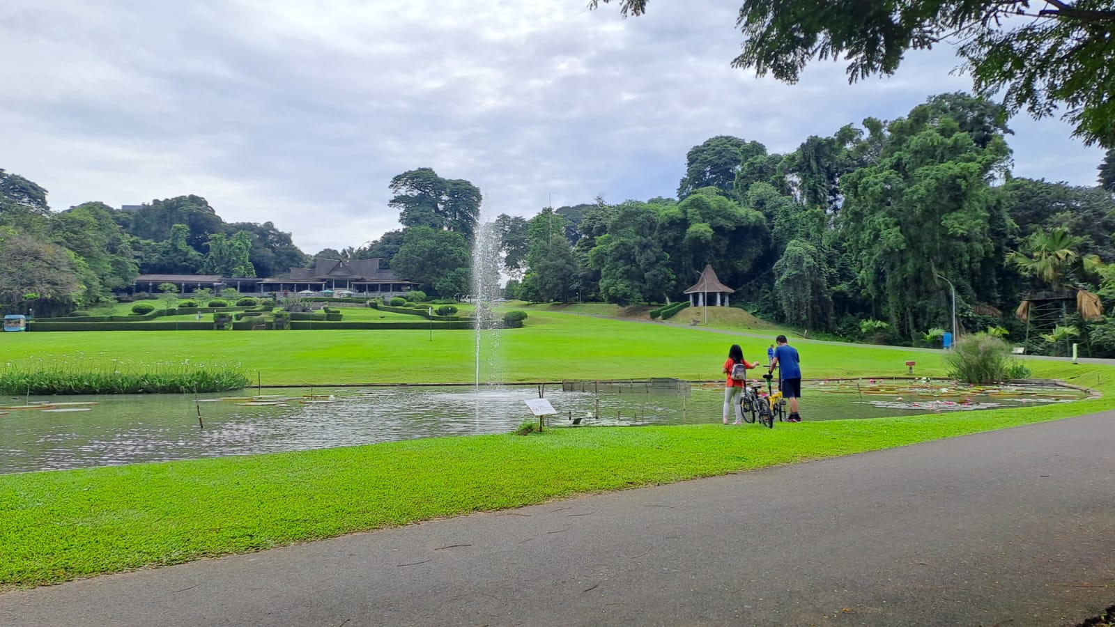 Royal Palm Avenue in Peradeniya Botanical Garden