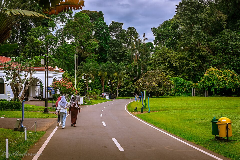 Visitors walking through Peradeniya Botanical Garden